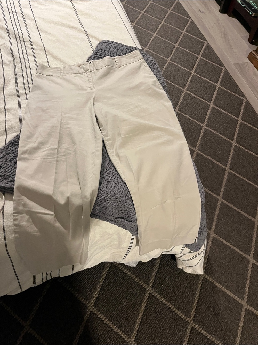 Talbots Petite Beige Pants with Branded Waistband